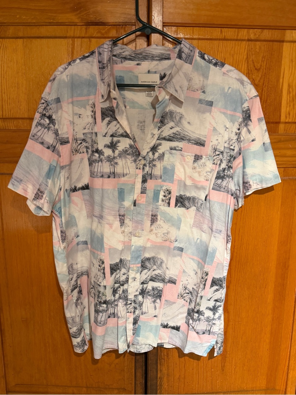 American Eagle Outfitters Pink and Light Blue Palm Print Button-Up Shirt